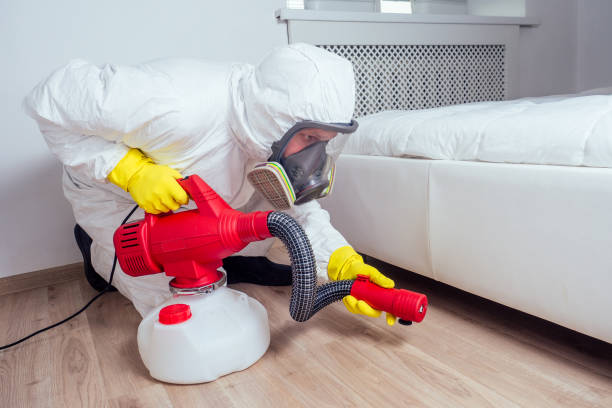 Best Wasp Removal Services  in Landisville, PA