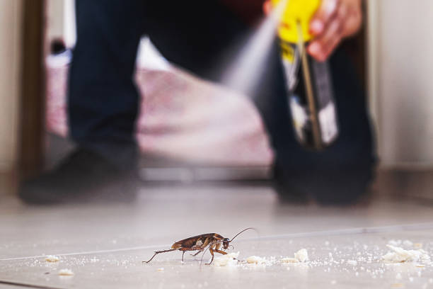 Best Pest Prevention Services  in Landisville, PA