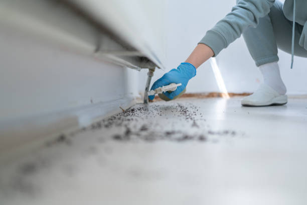 Best Emergency Pest Control  in Landisville, PA