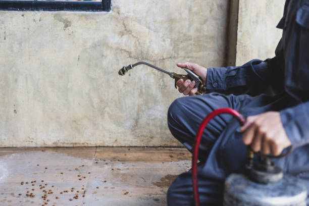 Best Best Pest Control Companies  in Landisville, PA